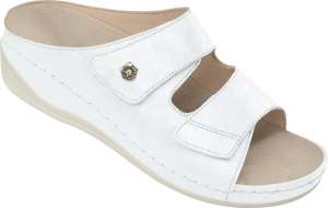 ORTHO LADY 384061000