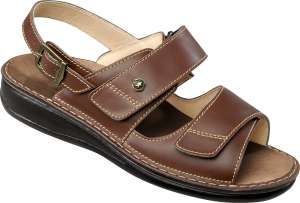 ORTHO GENT 394013000